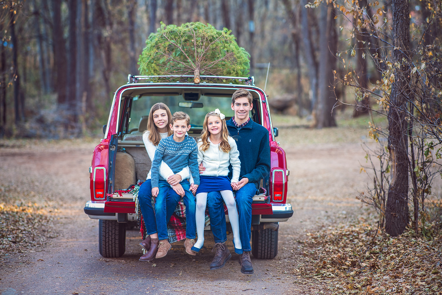 Four siblings sitting at the back of a car with a Christmas tree on top.